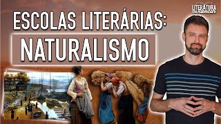 RESUMO SOBRE O NATURALISMO  Contexto histórico e características  Escolas Literárias [upl. by Peoples928]