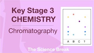 Key Stage 3 Chemistry  Chromatography [upl. by Ahsieker]