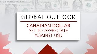 Global Outlook The Dollar [upl. by Ilrahc]