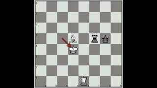 The Longest Chess Game Ever No1  Ivan Nikolic vs Goran Arsovic 269 moves [upl. by Pironi928]