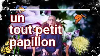 Un tout petit papillon  Comptine à gestes [upl. by Doner]