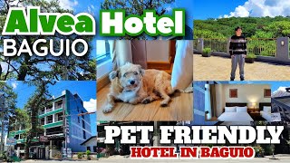 ALVEA Hotel Baguio  Where to Stay in Baguio City  Newest Pet Friendly Hotel [upl. by Trev676]