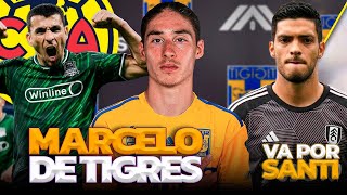 MARCELO FLORES YA ES DE TIGRES  LUIS CHÁVEZ ELOGIADO EN RUSA  RAÚL JIMÉNEZ TITULAR EN EL TRI [upl. by Nej]