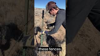 Wildlife Friendlier Fencing Project in Sublette County [upl. by Sherl]