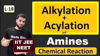 L18 Alkylation  Acylation of Amines  Chemical Reactions  JEE NEET  By Arvind Arora [upl. by Lebasy567]