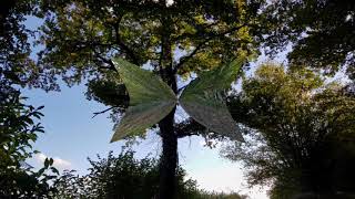 Bégard  Randonnée dans le bois de Gwérun [upl. by Aneeg]