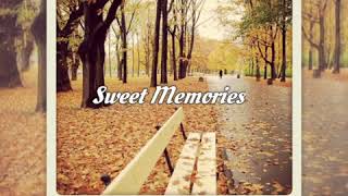 GOLDEN MEMORIES LOVE SONGVOL4 [upl. by Lain]