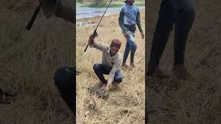 Angler psycho fishing 🎣 😎 catchbigfish fishing viralshort trendingshorts trendingvideo [upl. by Jeunesse172]