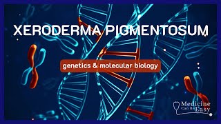 The Genetics behind Xeroderma Pigmentosum  NOTES [upl. by Nirel]