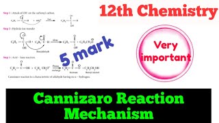 Cannizaro Reaction MechanismClass12Chemistry 🔥 [upl. by Ennoryt942]