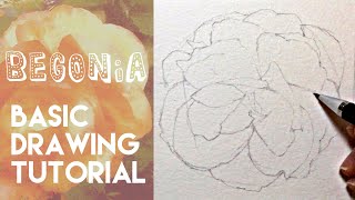 How to draw a Begonia flower  Flower drawing tutorial with pencil [upl. by Anecuza]