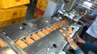 Biscuit Packing Machine [upl. by Ades775]