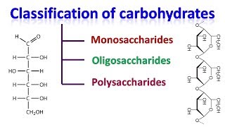 Carbohydrates  classification of carbohydrates [upl. by Reffotsirk]