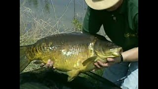 Total Fishing  Matt Hayes  Big Carp Off The Top  Barbel Fishing The River Severn  S01 E02 [upl. by Rafferty]