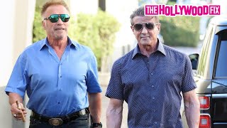 Sylvester Stallone amp Arnold Schwarzenegger Speak On Creed 3 While Leaving Lunch In Beverly Hills [upl. by Aihsei939]