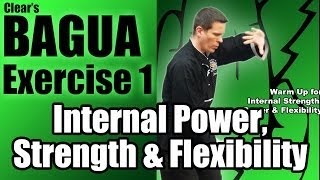 Clears Bagua Exercise 1 for Internal Power Strength amp Flexibility [upl. by Brandie]