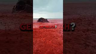 Blut im Wasser😱🩸 fakten tricks gefährlich shorts deutsch viral [upl. by Maillw314]