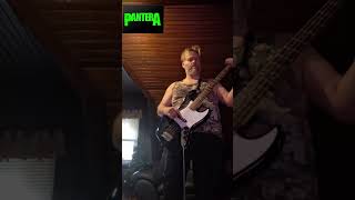 PANTERA WALK  BASS COVER  483 basscover metal pantera [upl. by Porty]