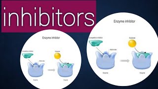 Inhibitors biology chapter 3 class11 [upl. by Maddeu]