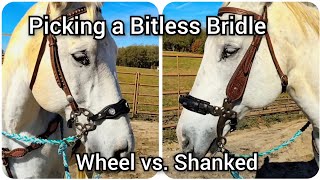 Picking a Bitless Bridle  Comparison between shanked hackamore and wheel hackamore [upl. by Adilem]