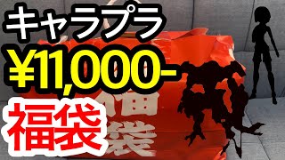 【福袋開封】11000円プラモ福袋を開封！！ガンプラに美プラも！？【謹賀新年】 [upl. by Arbmik526]