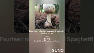 Fourteen NinetyTwo and Spaghetti [upl. by Susie]