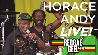 Horace Andy Live Reggae Geel Belgium 2018 [upl. by Carmine]