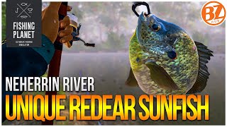 Unique Redear Sunfish of Neherrin River  Fishing Planet Test Your Spot Series [upl. by Droffig]