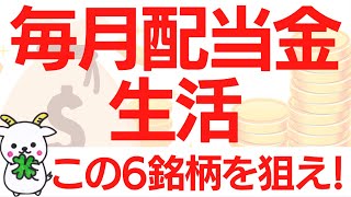 【誰でも簡単】たった6銘柄で毎月配当金をもらうポートフォリオを公開！ [upl. by Ecirtra736]