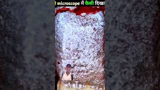 चिजे microscope मुझे कैसी देखती है what do things look like under a microsco [upl. by Gnaw]