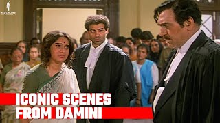 Damini  Iconic Scenes  Sunny Deol Meenakshi Sheshadri Amrish Puri [upl. by Hymie138]