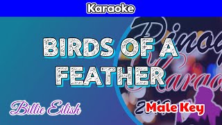 BIRDS OF A FEATHER by Billie Eilish Karaoke  Male Key [upl. by Garrek]