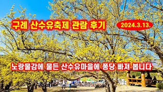 2024 구례산수유꽃축제 관람 후기 [upl. by Hgielime]