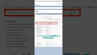 【Salesforce】レコードタイプの設定手順が1分でわかるsalesforce [upl. by Murdock]