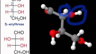 Tetroses Pentoses amp Hexoses [upl. by Ceevah]