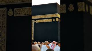 Subhan Allah ❤️❤️Islamic videos❤️ shorts viral sourcevideoyoutubeshorts islmaicshorts makkah [upl. by Aicemak623]