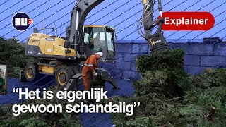 Kerstbomen met piek en al op straat recyclebedrijf heeft er handen vol aan  NUnl  Explainer [upl. by Ahsikin]