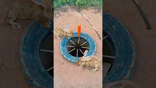 Survival Skills Simple But Very Useful with rabbit deep hole trap shorts survival outdoors [upl. by Eelano862]