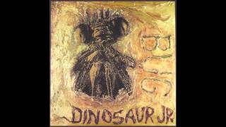 Dinosaur Jr  Freak Scene [upl. by Pavior]