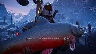 Assassin’s Creed® Valhalla ARCTIC TROUT BIG  TRUCHA ARTICA GRANDE  XBOX ONE X [upl. by Darian859]