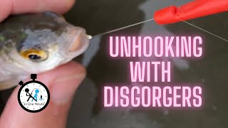 how to use a disgorger [upl. by Dercy]