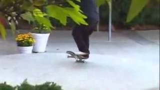 Rodney Mullen VS Daewon Song Almost Round 3 [upl. by Lovett]