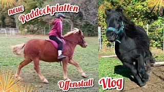 FMA Pferde Vlog  Reiten amp Arbeit mit allen Pferden  üben fürs Stallturnier  neue Paddockplatten [upl. by Lerrej]