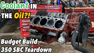 We Found COOLANT in our OIL Budget Build Small Block Chevy 350 Teardown [upl. by Lenna]