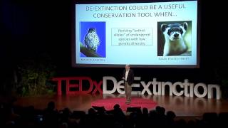 Deextinction a gamechanger for conservation biology Stanley Temple at TEDxDeExtinction [upl. by Lapides]