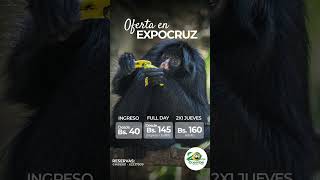 Ofertas Expocruz [upl. by Solange]