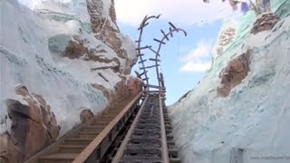 Expedition Everest POV in REVERSE Backwards with Night Vision Disneys Animal Kingdom Disney World [upl. by Jeromy535]