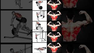 Best Mid Back Exercises 🔥💪🏻💯 workout gym fitness fit 3d animation [upl. by Noiraa]