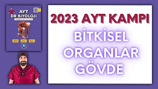 Bitkisel OrganlarGövde AYT Biyoloji Kampı Konu Anlatımı 12Sınıf 2024 Tayfa [upl. by Kotta]