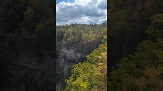 Fall Creek Falls 256 feet is one of the highest waterfalls in the eastern US FallCreekFalls [upl. by Ellehcir312]